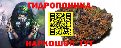 прущие грибы Мариинск