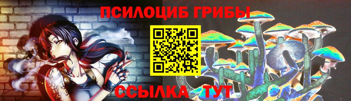 Галлюциногенные грибы GOLDEN TEACHER Вичуга